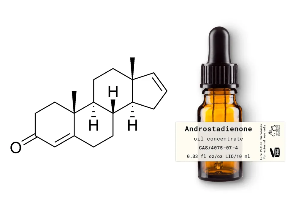 apa itu pheromone androstadienone