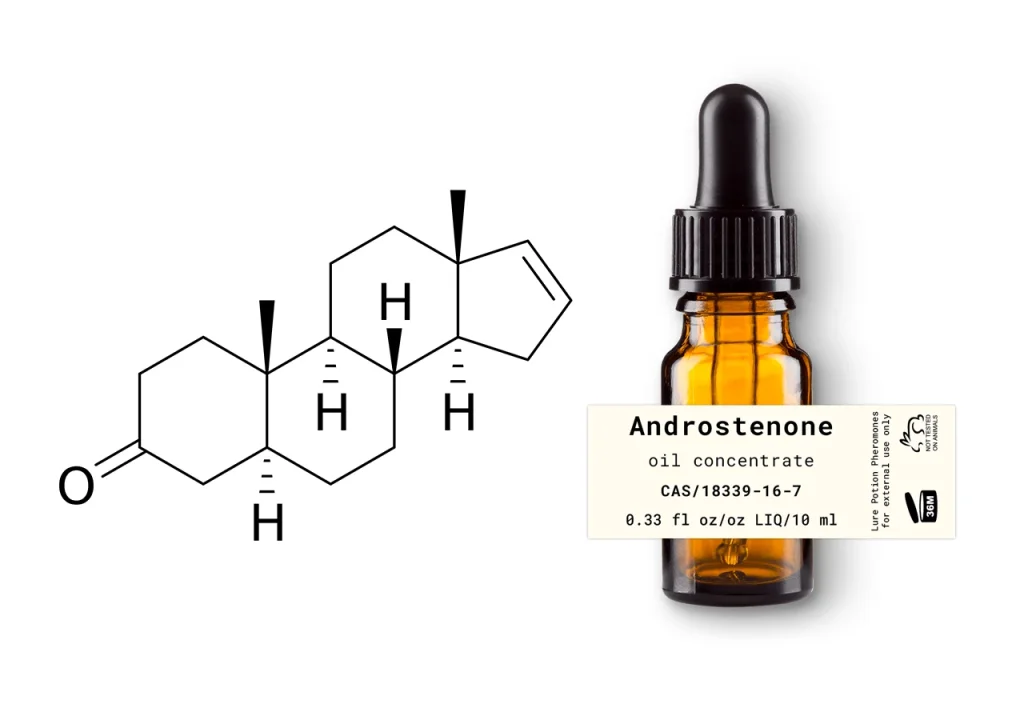 apa itu androstenone