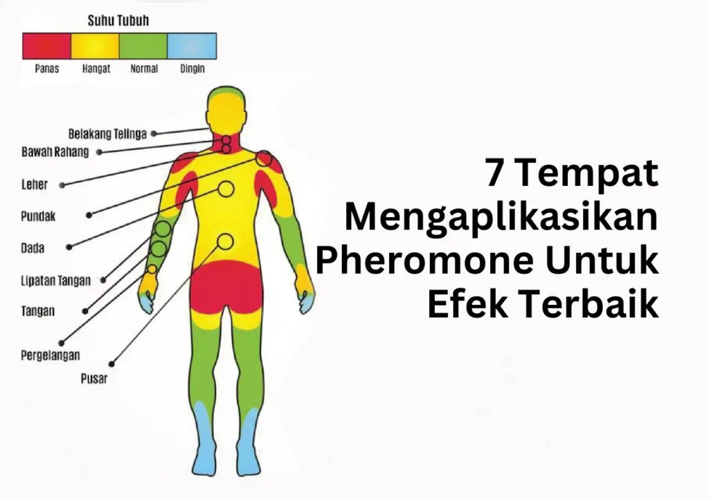 7 tempat mengaplikasikan pheromone