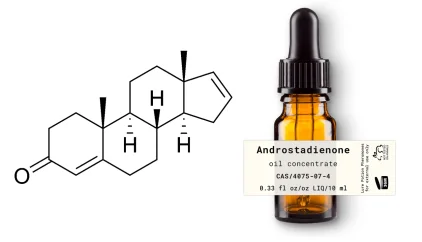 apa itu pheromone androstadienone