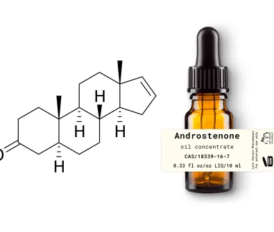 apa itu androstenone